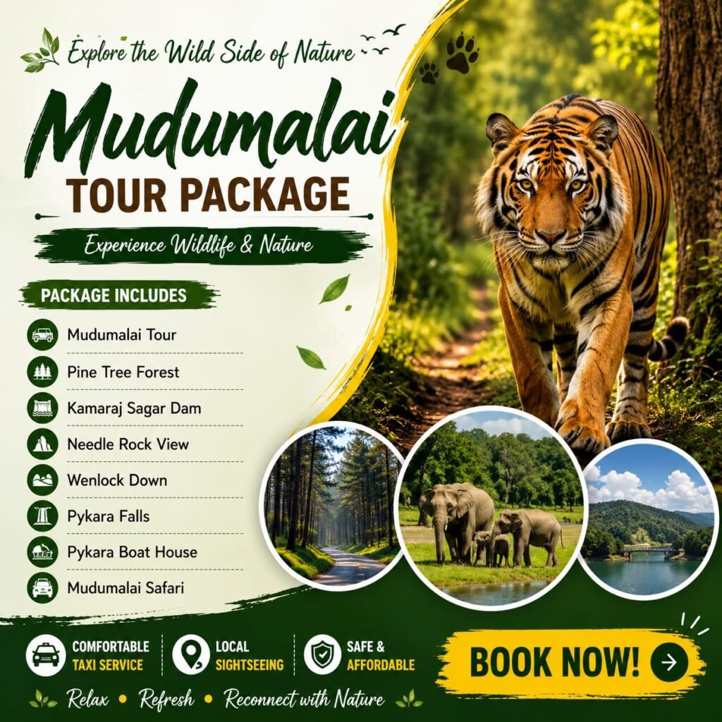 Mudumalai Tour Package Service from Ooty